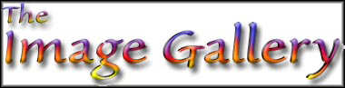 Image Gallery Logo